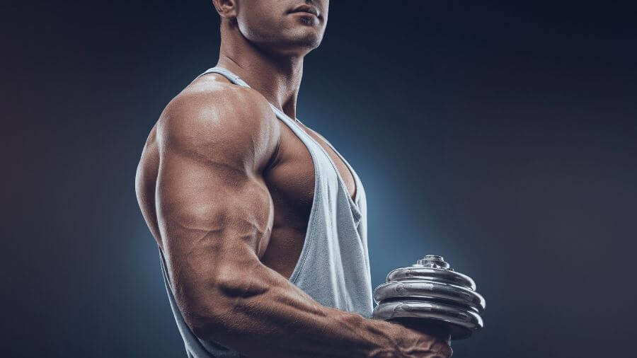 how long does it take to build muscle (1)